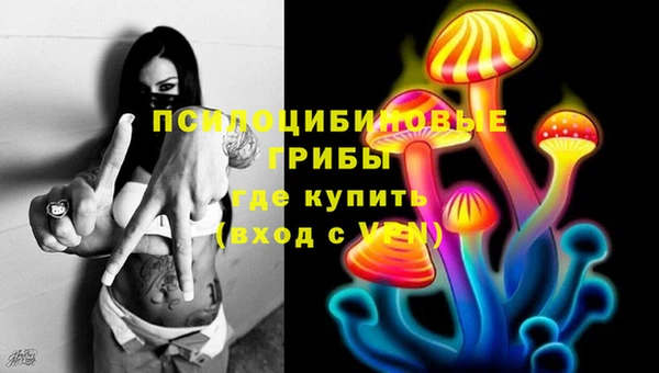 МДПВ Арсеньев